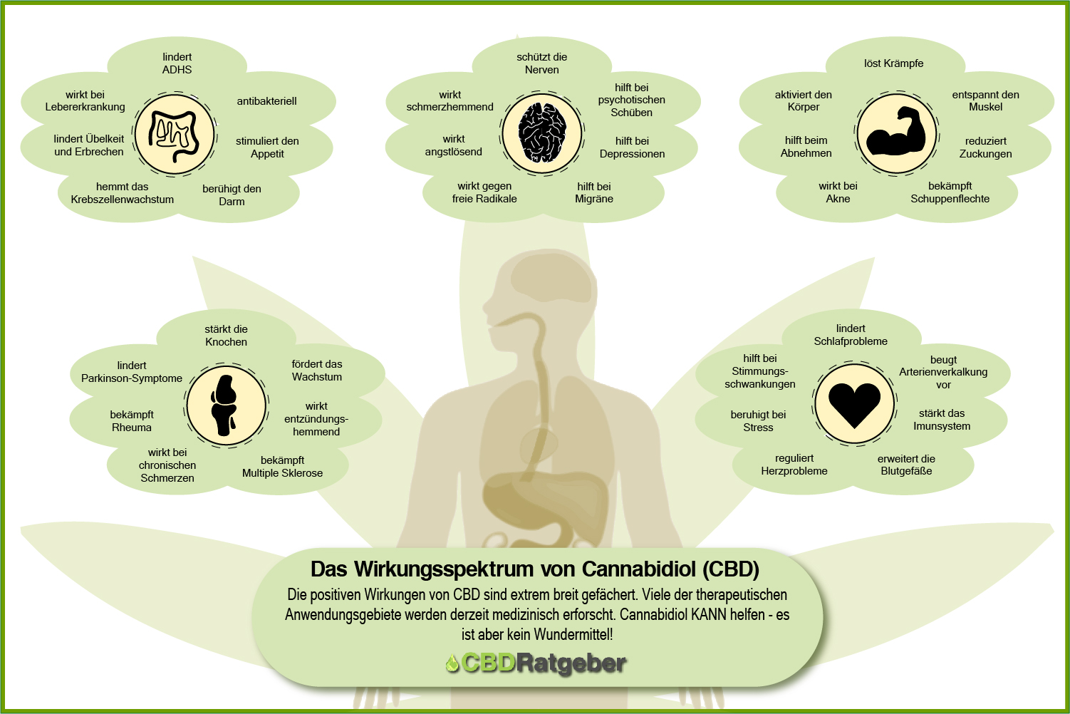 CDB Wirkungsweise Erklärung